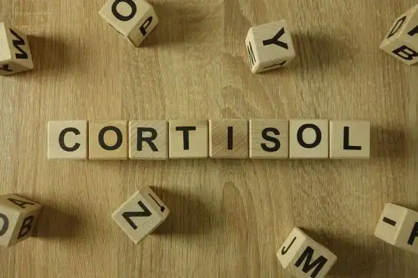 The Hidden Connection: How Stress Shapes Your Fitness and Body Composition 2 Image saying "Cortisol" and how stress Luton impacts your wellbeing and bodies shape